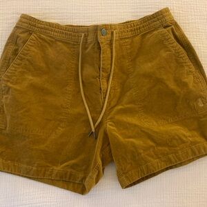 Chubbies Corduroy Shorts